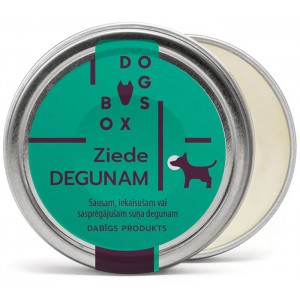 ZIEDE DEGUNAM